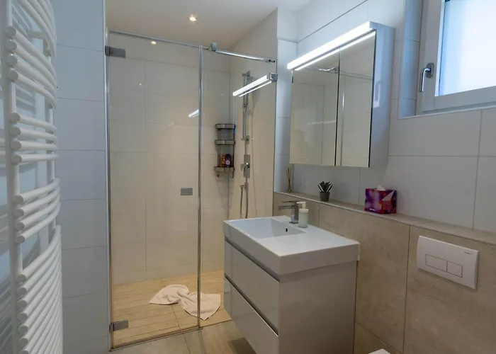 Interlaken Peak View 公寓 *